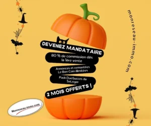 Visuel monreseauimmo